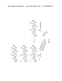 Prodrugs of Peptide Epoxy Ketone Protease Inhibitors diagram and image