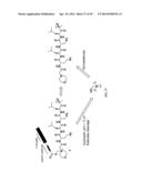 Prodrugs of Peptide Epoxy Ketone Protease Inhibitors diagram and image