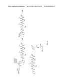 Prodrugs of Peptide Epoxy Ketone Protease Inhibitors diagram and image