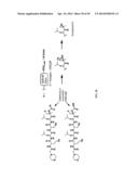 Prodrugs of Peptide Epoxy Ketone Protease Inhibitors diagram and image