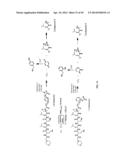 Prodrugs of Peptide Epoxy Ketone Protease Inhibitors diagram and image