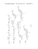 Prodrugs of Peptide Epoxy Ketone Protease Inhibitors diagram and image