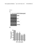 NOVEL USE OF C-TERMINAL DOMAIN OF IGFBP-5 COMPRISING HEPARIN-BINDING     DOMAIN AS AN ANGIOGENESIS INHIBITOR diagram and image