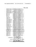 PEPTIDE MODULATORS OF ANGIOGENESIS AND USE THEREOF diagram and image