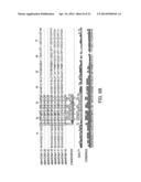 PEPTIDE MODULATORS OF ANGIOGENESIS AND USE THEREOF diagram and image