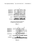 PEPTIDE MODULATORS OF ANGIOGENESIS AND USE THEREOF diagram and image