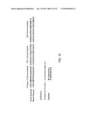 PEPTIDE MODULATORS OF ANGIOGENESIS AND USE THEREOF diagram and image