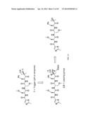 Prodrugs of Peptide Epoxy Ketone Protease Inhibitors diagram and image