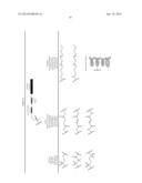 Prodrugs of Peptide Epoxy Ketone Protease Inhibitors diagram and image