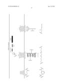 Prodrugs of Peptide Epoxy Ketone Protease Inhibitors diagram and image