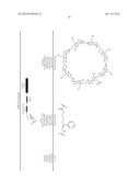 Prodrugs of Peptide Epoxy Ketone Protease Inhibitors diagram and image