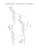 Prodrugs of Peptide Epoxy Ketone Protease Inhibitors diagram and image