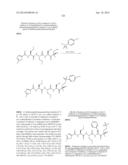 Prodrugs of Peptide Epoxy Ketone Protease Inhibitors diagram and image