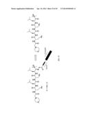 Prodrugs of Peptide Epoxy Ketone Protease Inhibitors diagram and image