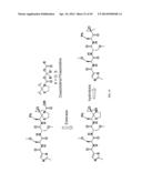 Prodrugs of Peptide Epoxy Ketone Protease Inhibitors diagram and image