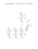 Prodrugs of Peptide Epoxy Ketone Protease Inhibitors diagram and image