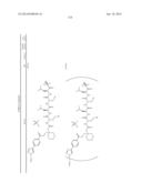 Prodrugs of Peptide Epoxy Ketone Protease Inhibitors diagram and image