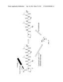 Prodrugs of Peptide Epoxy Ketone Protease Inhibitors diagram and image