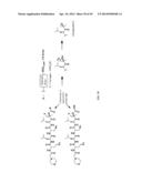 Prodrugs of Peptide Epoxy Ketone Protease Inhibitors diagram and image