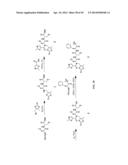 Prodrugs of Peptide Epoxy Ketone Protease Inhibitors diagram and image