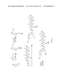 Prodrugs of Peptide Epoxy Ketone Protease Inhibitors diagram and image