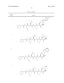 Prodrugs of Peptide Epoxy Ketone Protease Inhibitors diagram and image