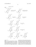 COMPOUNDS FOR ENZYME INHIBITION diagram and image