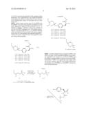 METHOD TO IMPROVE ANTIVIRAL ACTIVITY OF NUCLEOTIDE ANALOGUE DRUGS diagram and image