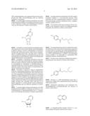 COMBINATIONS OF SAPACITABINE OR CNDAC WITH DNA METHYLTRANSFERASE     INHIBITORS SUCH AS DECITABINE AND PROCAINE diagram and image