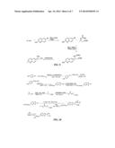 Heterobicyclic sphingosine 1-phosphate analogs diagram and image