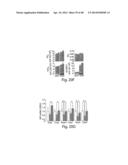 TGR5 Modulators and Methods of Use Thereof diagram and image