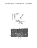 TGR5 Modulators and Methods of Use Thereof diagram and image