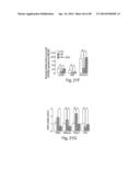 TGR5 Modulators and Methods of Use Thereof diagram and image