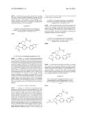 TRIAZOLONES AS FATTY ACID SYNTHASE INHIBITORS diagram and image