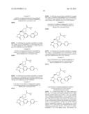 TRIAZOLONES AS FATTY ACID SYNTHASE INHIBITORS diagram and image