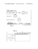 SMALL MOLECULE INHIBITORS OF INFLUENZA A RNA-DEPENDENT RNA POLYMERASE diagram and image