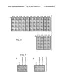 SMALL MOLECULE INHIBITORS OF INFLUENZA A RNA-DEPENDENT RNA POLYMERASE diagram and image