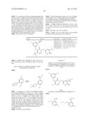 NON-NUCLEOSIDE REVERSE TRANSCRIPTASE INHIBITORS diagram and image