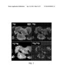 Process for Preparing Phosphate Compound Bearing Isotope diagram and image