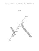 METHOD OF PROVIDING INFORMATION OF MAIN KNOWLEDGE STREAM AND APPARATUS FOR     PROVIDING INFORMATION OF MAIN KNOWLEDGE STREAM diagram and image