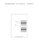 Deposition of High Purity Silicon Via High Surface Area Gas-Solid or     Gas-Liquid Interfaces and Recovery Via Liquid Phase diagram and image