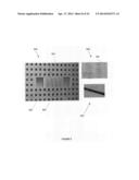 COMPACT ORGANIC VAPOR JET PRINTING PRINT HEAD diagram and image