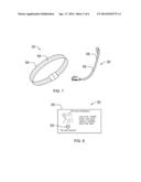 OFF-LEASH ANIMAL AUTHORIZATION METHOD AND SYSTEM diagram and image