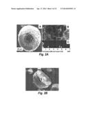 BIODEGRADABLE PHOTOCATALYTIC NANOCOMPOSITE MICROSPONGES OF POLYACTIC ACID diagram and image