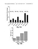 BIODEGRADABLE PHOTOCATALYTIC NANOCOMPOSITE MICROSPONGES OF POLYACTIC ACID diagram and image