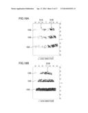 GALLIUM NITRIDE-BASED COMPOUND SEMICONDUCTOR LIGHT-EMITTING DEVICE AND     LIGHT SOURCE APPARATUS USING THE DEVICE diagram and image