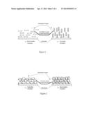 NEGATIVE OPTICAL COMPENSATION ASSEMBLY AND METHOD FOR PREPARING THE SAME diagram and image