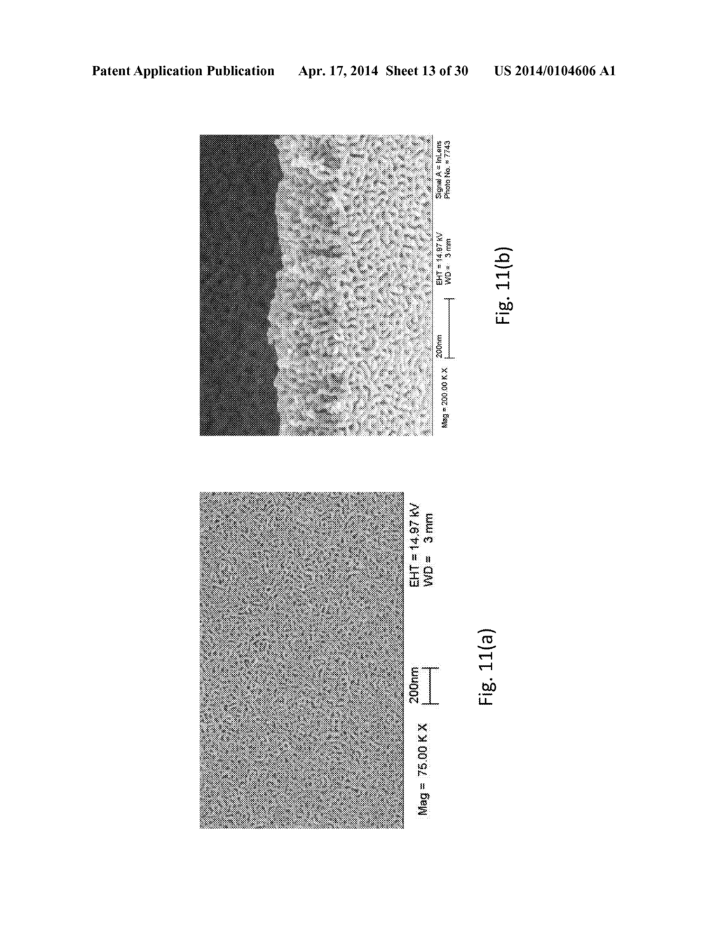 NANOPOROUS GOLD NANOPARTICLES AS HIGH-PAYLOAD MOLECULAR CARGOS,     PHOTOTHERMAL/PHOTODYNAMIC THERAPEUTIC AGENTS, AND ULTRAHIGH     SURFACE-TO-VOLUME PLASMONIC SENSORS - diagram, schematic, and image 14