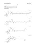 NANOSPHERES COMPRISING TOCOPHEROL, AN AMPHIPHILIC SPACER AND A THERAPEUTIC     OR IMAGING AGENT diagram and image