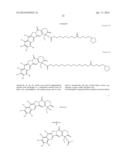 NANOSPHERES COMPRISING TOCOPHEROL, AN AMPHIPHILIC SPACER AND A THERAPEUTIC     OR IMAGING AGENT diagram and image